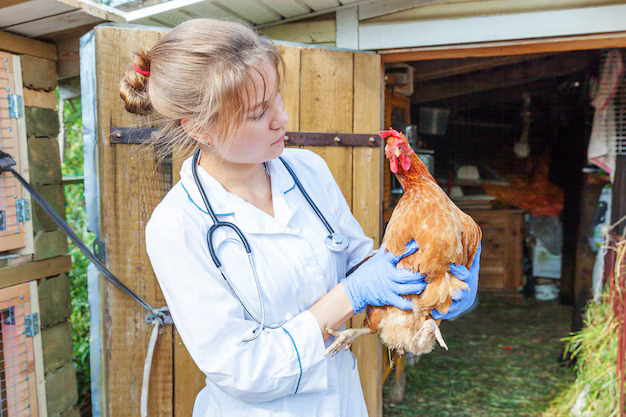 Poultry Diagnostics