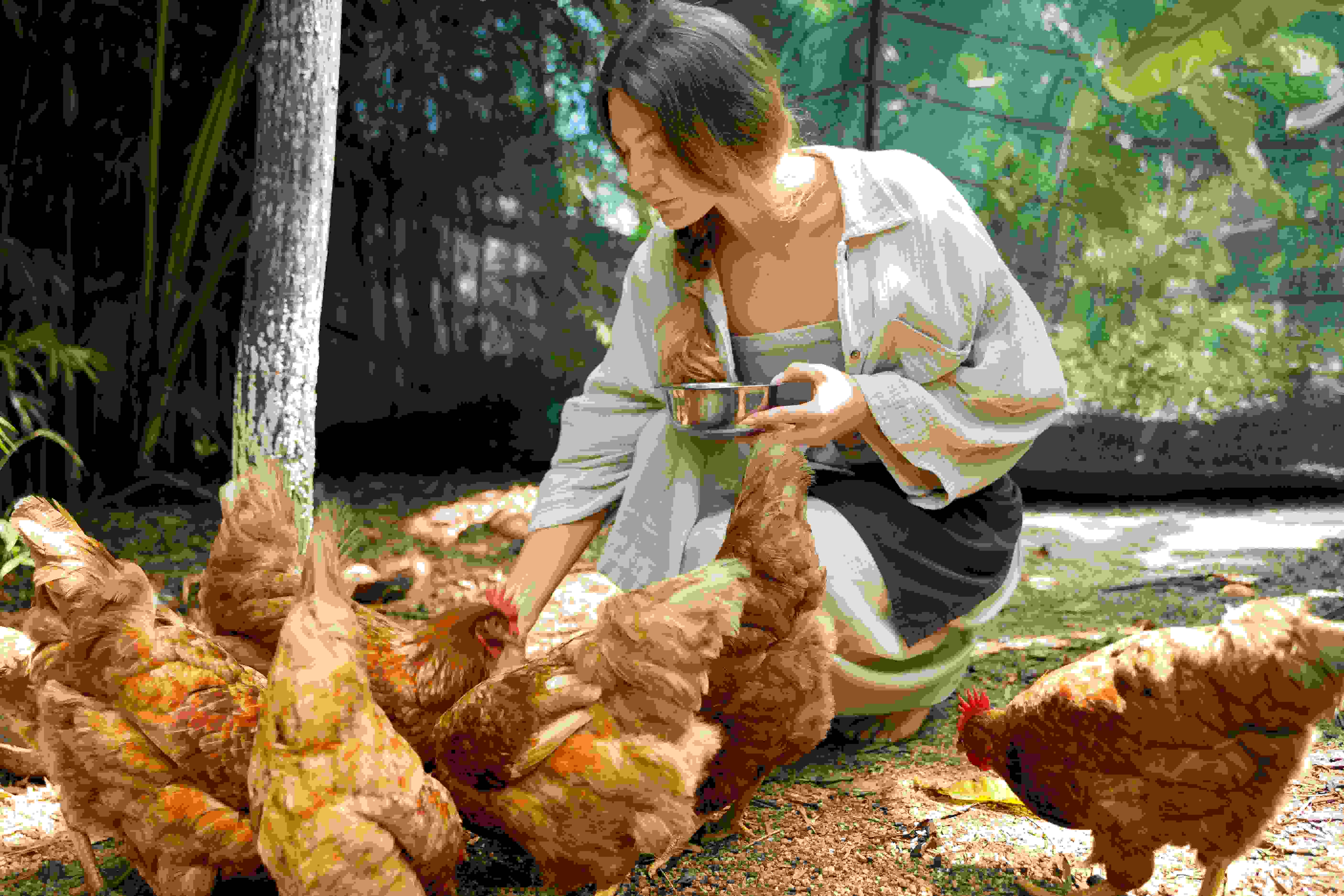 poultry